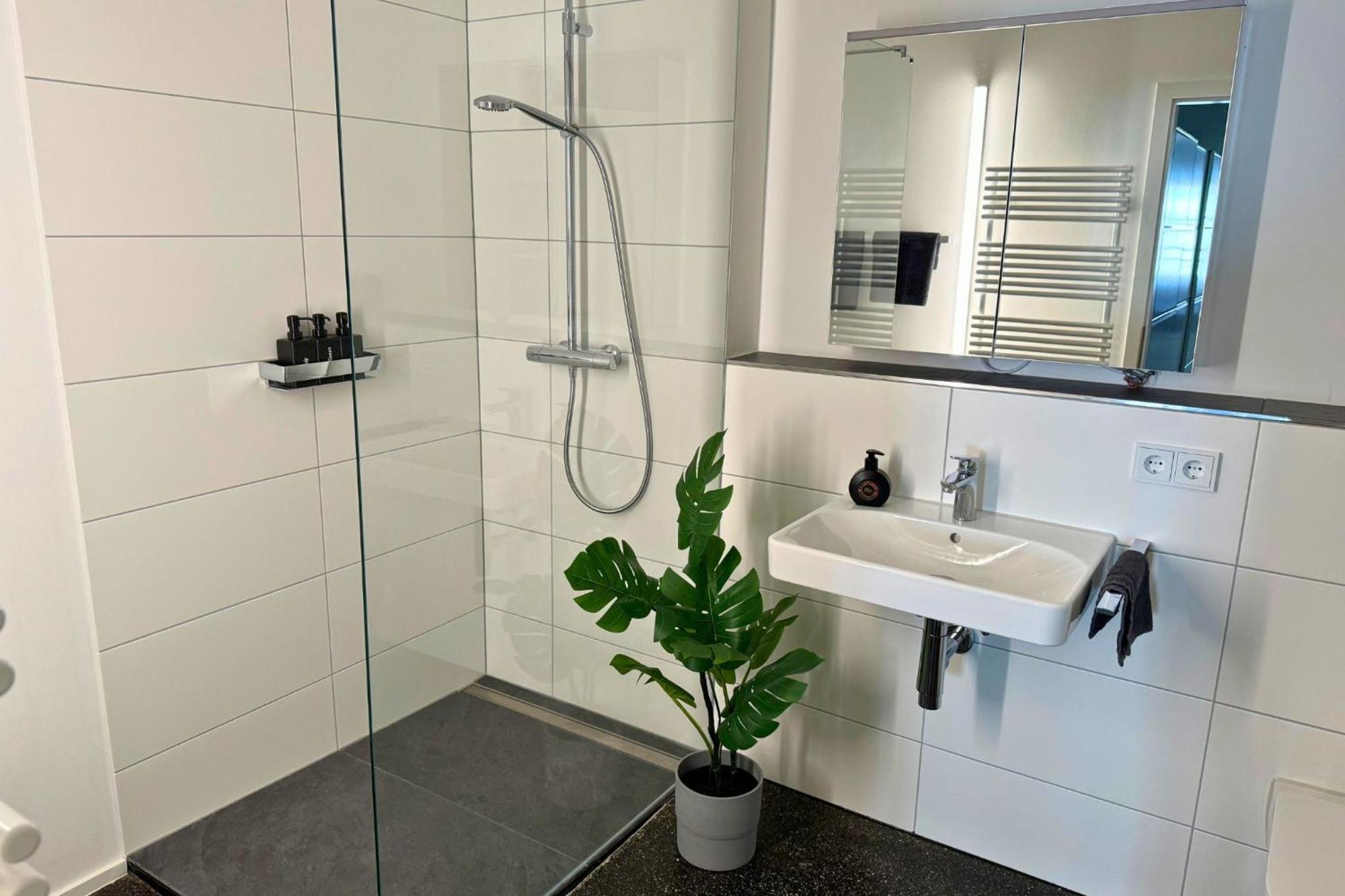 Isaak Apartment Stadtperle Waldshut-Tiengen Extérieur photo