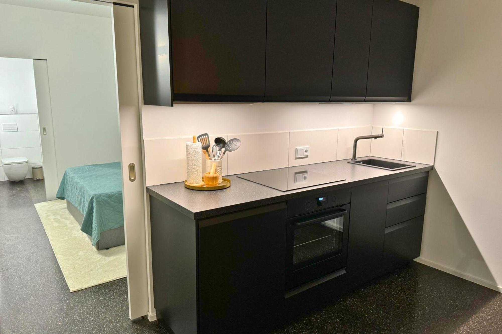 Isaak Apartment Stadtperle Waldshut-Tiengen Extérieur photo