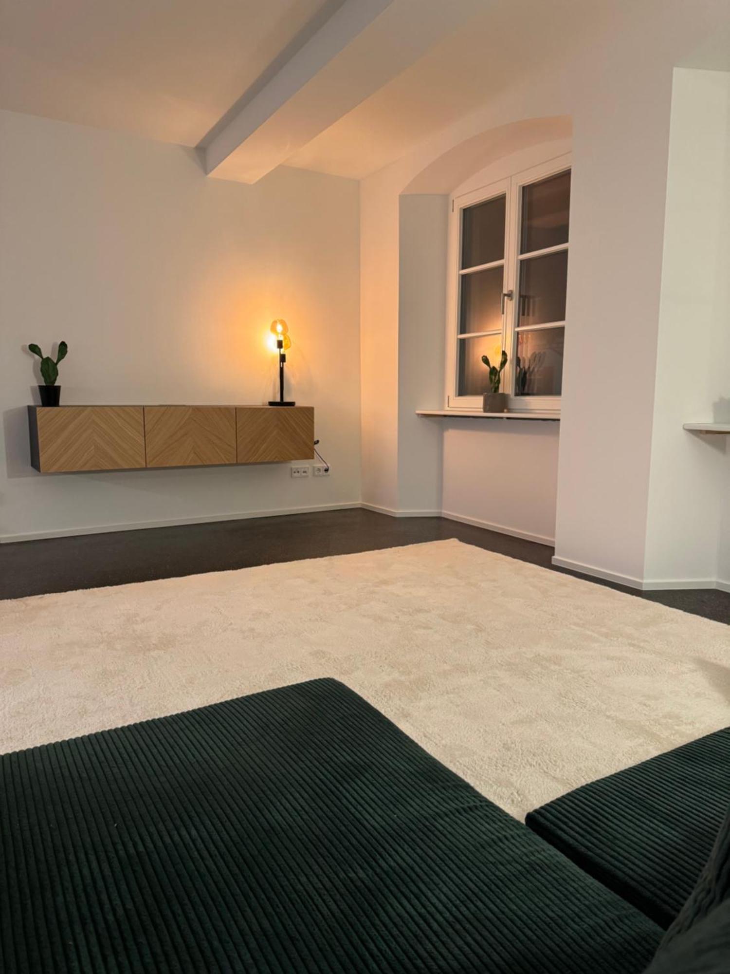 Isaak Apartment Stadtperle Waldshut-Tiengen Extérieur photo