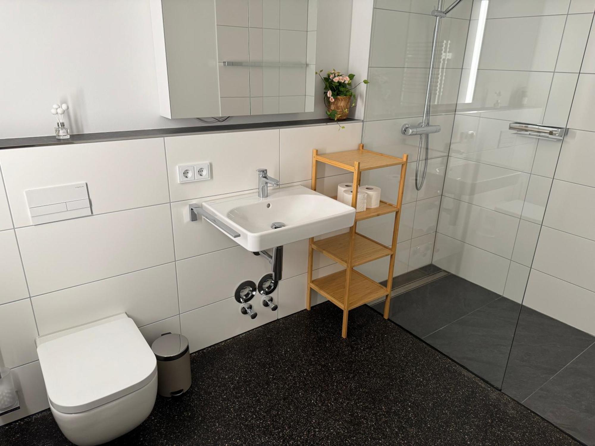 Isaak Apartment Stadtperle Waldshut-Tiengen Extérieur photo
